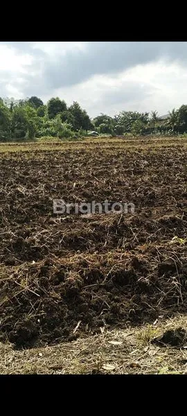 image TANAH SEMPLAK KOTA BOGOR (3)