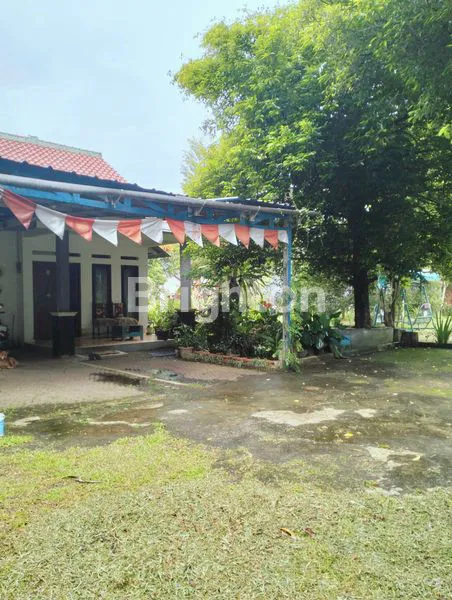 image TANAH SEMPLAK KOTA BOGOR (6)