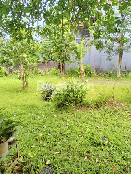 image TANAH SEMPLAK KOTA BOGOR (8)