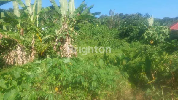 image TANAH SIAP BANGUN 160M² DI JL. SURYANATA, AKSES FASILITAS LENGKAP (1)