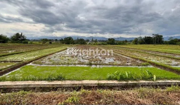 DIJUAL TANAH LUAS DAN STRATEGIS SLEMAN YOGYAKARTA