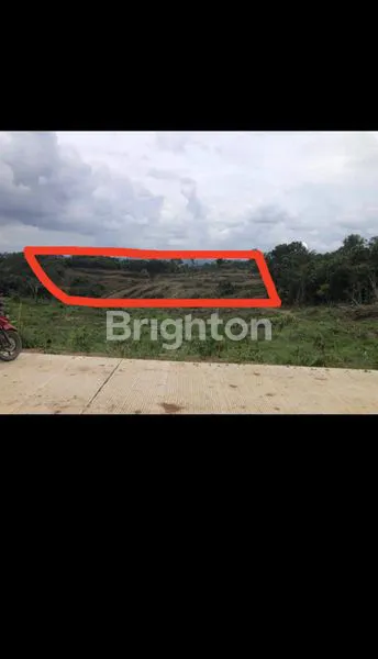 image DIJUAL TANAH MURAH DI JALAN IKIP MEKAR  TENGGARONG KUTAI KARTANEGERA (3)