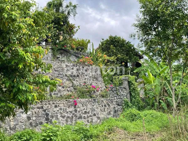 image TANAH SEWA 5 ARA DESA CELUK SUKAWATI (3)