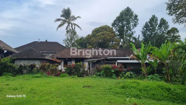 image TANAH DATAR SIAP BANGUN DI JALAN RAYA BELIMBING (7)