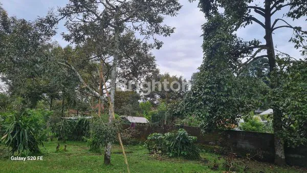 image TANAH DATAR SIAP BANGUN DI JALAN RAYA BELIMBING (5)