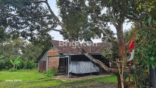 image TANAH DATAR SIAP BANGUN DI JALAN RAYA BELIMBING (3)