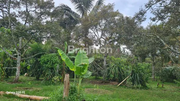 image TANAH DATAR SIAP BANGUN DI JALAN RAYA BELIMBING (8)