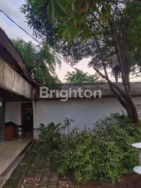 image LAHAN STRATEGIS DAN COCOK UNTUK TEMPAT TINGGAL / VILLA DI TEBET! (5)