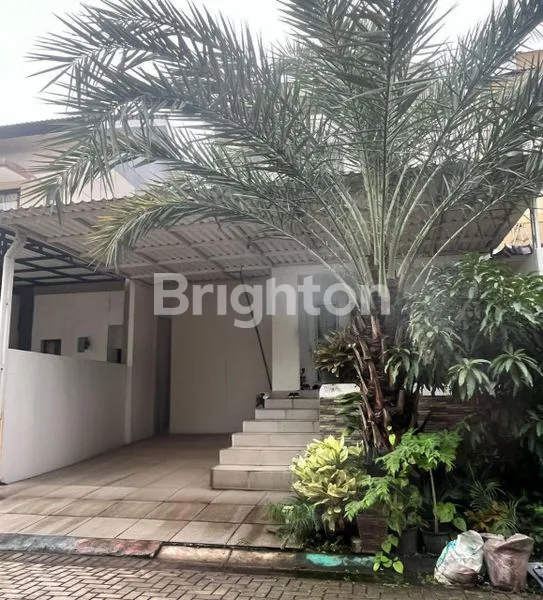 image PALEM SEMI (1)