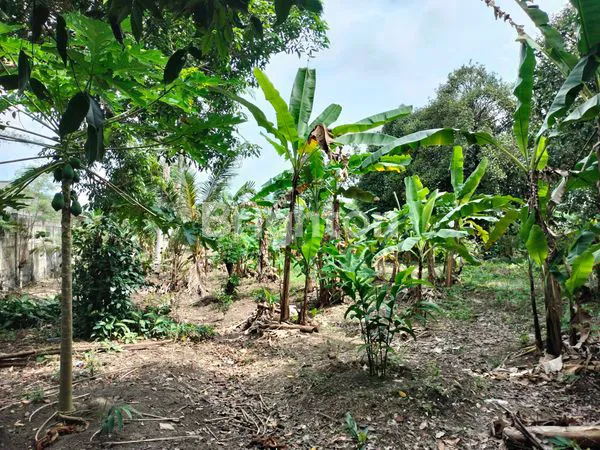 image TANAH DATAR MAIN ROAD RANGGI PANGKALPINANG (5)