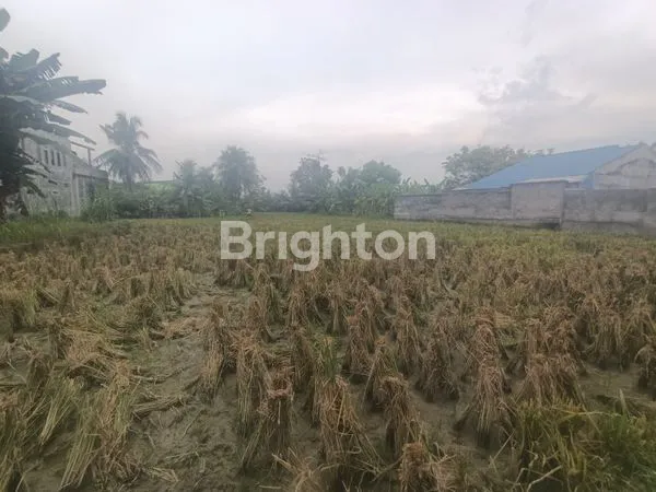 image TANAH DI DESA WONOSARI TANJUNG MORAWA  (5)