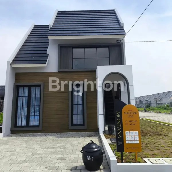 image SHAISTANAYA CITY TYPE MONTANA (4)