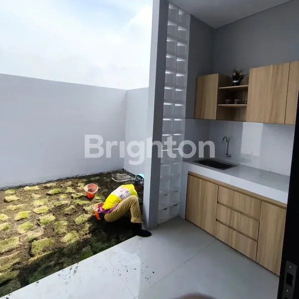 image SHAISTANAYA CITY TYPE MONTANA (5)