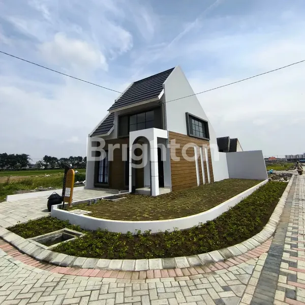 image SHAISTANAYA CITY TYPE MONTANA (1)