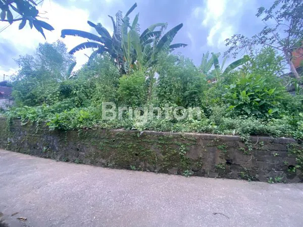 TANAH SIAP BANGUN DI MAS UBUD GIANYAR