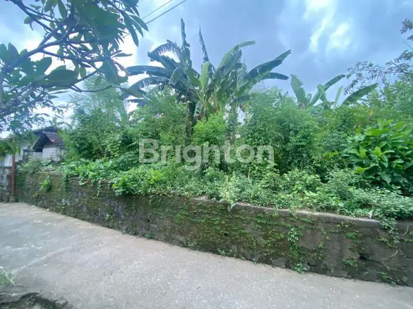 image TANAH SIAP BANGUN DI MAS UBUD GIANYAR (3)