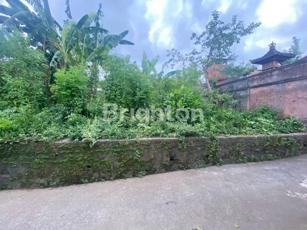 image TANAH SIAP BANGUN DI MAS UBUD GIANYAR (4)