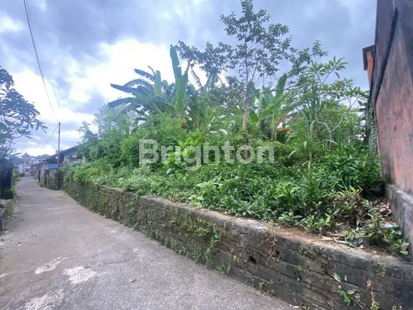 image TANAH SIAP BANGUN DI MAS UBUD GIANYAR (5)