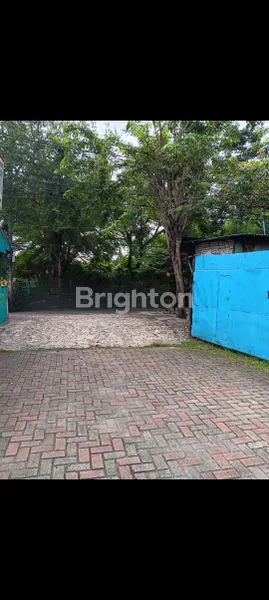 image SEBIDANG TANAH DI KAPUK,CENGKARENG .JAKARTA BARAT (2)