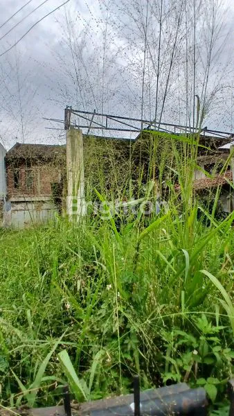 image TANAH DIJUAL (4)