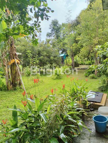 image RUMAH HITUNG HARGA TANAH PINGGIR JALAN (6)