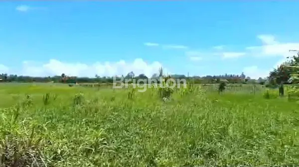 TANAH DIJUAL DI PINGGIR PANTAI DELODBRAWAH JEMBRANA COCOK BANGUN RESORT, COTTAGE DAN RESTORAN