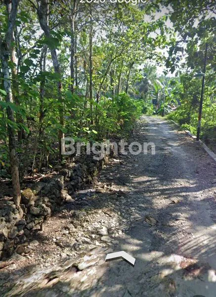 image TANAH DI PLAYEN GUNUNGKIDUL, BENTUK PERSEGI, INVESTASI MENJANJIKAN! (2)