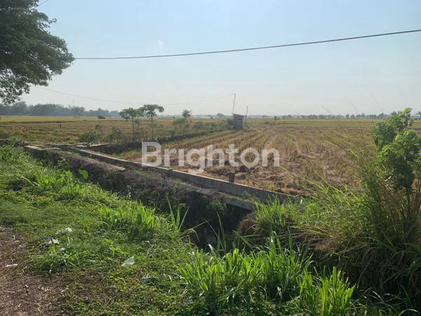 image *LAHAN TANAH UNTUK PERUMAHAN DAN TEMPAT USAHA AREA GEMOLONG SRAGEN* (6)