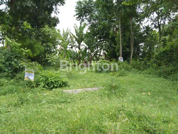 PEKARANGAN CANDI PLAOSAN TOL PRAMBANAN