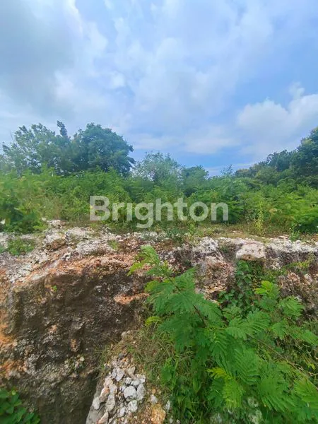 image TANAH 930M2 (9,3 ARE) DI KAMPIAL NUSA DUA BALI (5)