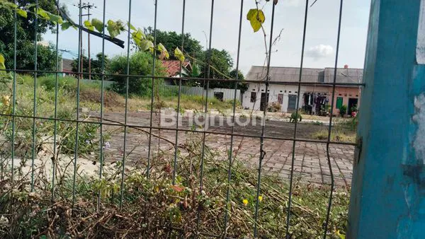 image DISEWAKAN AREA COR KOSONG (3)