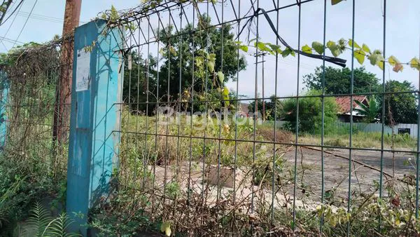 image DISEWAKAN AREA COR KOSONG (4)