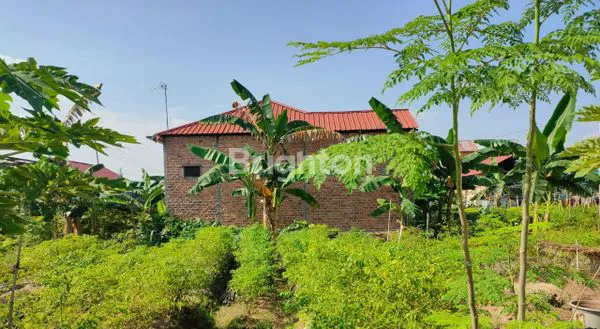 image BALIKPAPAN - DIJUAL TANAH KAPLING DI BELAKANG PT SCHLUMBERGER, BATAKAN (G010) (3)