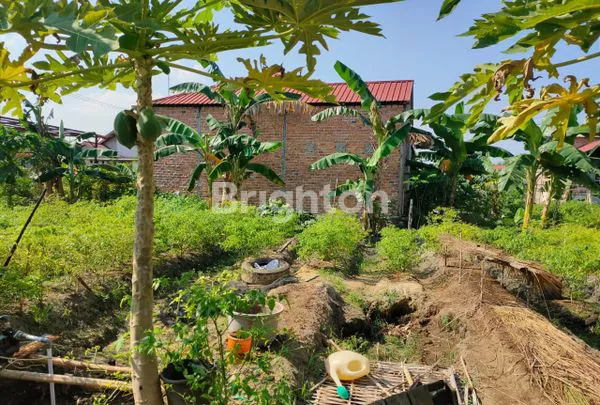 image BALIKPAPAN - DIJUAL TANAH KAPLING DI BELAKANG PT SCHLUMBERGER, BATAKAN (G010) (2)