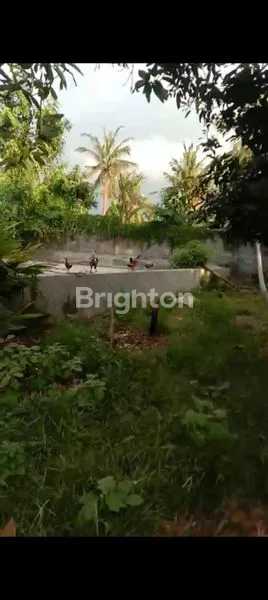 image DIJUAL RUMAH BALI ,ARAH SINGARAJA (5)