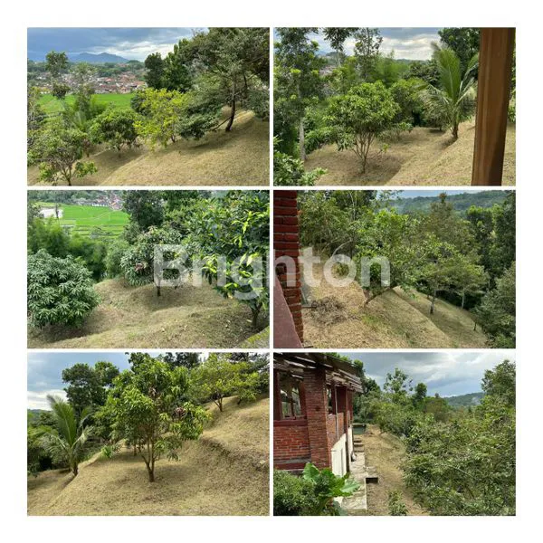 image JUAL TANAH DAN BANGUNAN EX CAFE KOTA MAGELANG  (2)