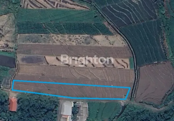 image SUPER MURAH TANAH 300 RIBUAN , LOKASI 50 METER DARI RAYA PACET MOJOKERTO (1)