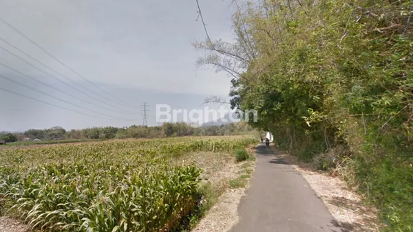 image SUPER MURAH TANAH 300 RIBUAN , LOKASI 50 METER DARI RAYA PACET MOJOKERTO (2)