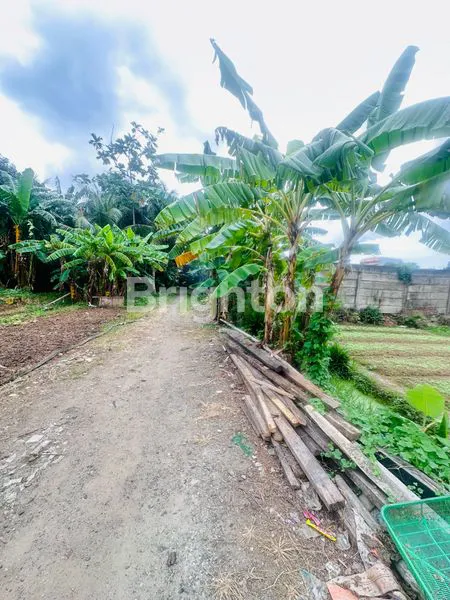 image TANAH KAVLING STRATEGIS DI DURI KOSAMBI CENGKARENG JAKARTA BARAT COCOK DIBANGUN KONTRAKAN (5)
