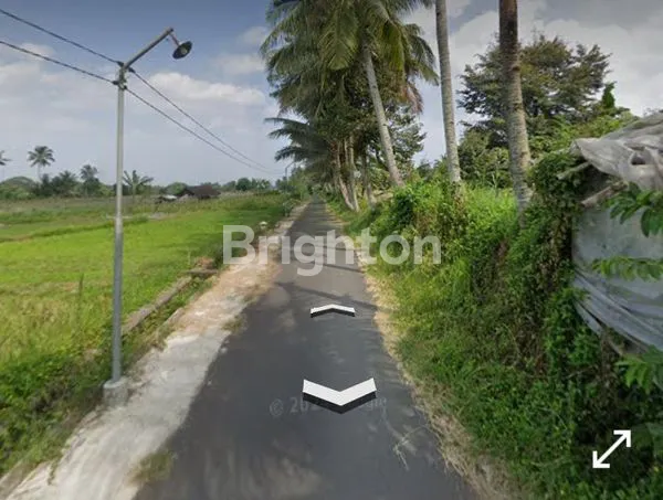 image SAWAH LD 40 METER DI PAKEM AREA CAFE, VILA, DESA WISATA (2)