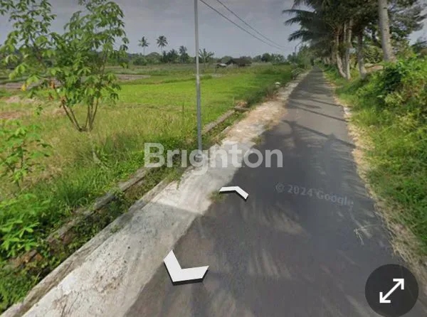 image SAWAH LD 40 METER DI PAKEM AREA CAFE, VILA, DESA WISATA (3)