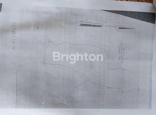 image TANAH DI DATARAN TINGGI, SERIRIT, BULELENG, BALI (3)