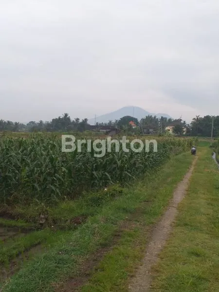 DIKONTRAKKAN : LAHAN 16,5 ARE SHM DI KERAMBITAN - TABANAN IDEAL UNTUK VILLA