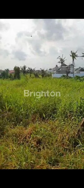 image KAVLING MUNGGU - MENGWI - BADUNG (4)