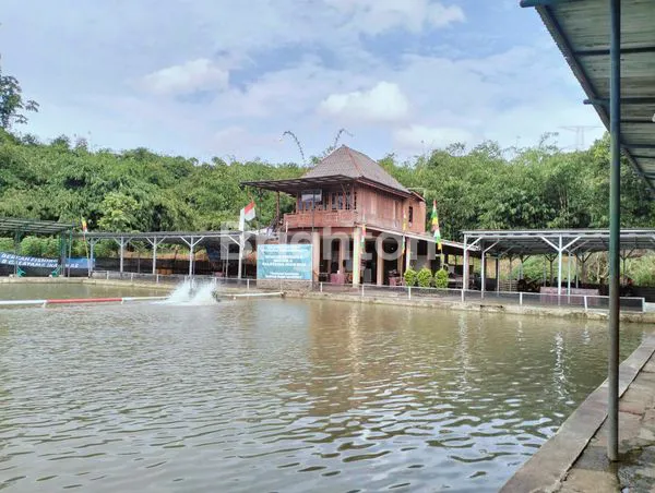 image KOLAM PEMANCINGAN GALATAMA & GALAPUNG DEPOK (1)