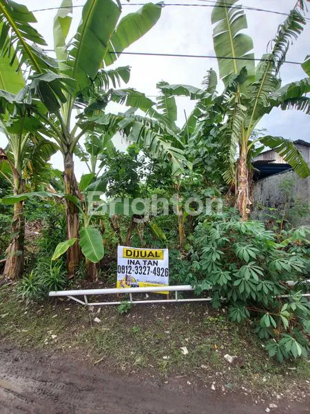 image JUAL TANAH GUNUNG ANYAR MAS (2)