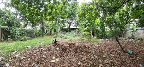 image KAVLING LUAS MURAH PINGGIR JALAN RAYA SERANG (4)