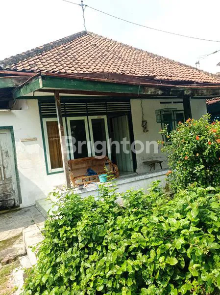 image RUMAH TANAH LUAS DALAM KOTA  (3)