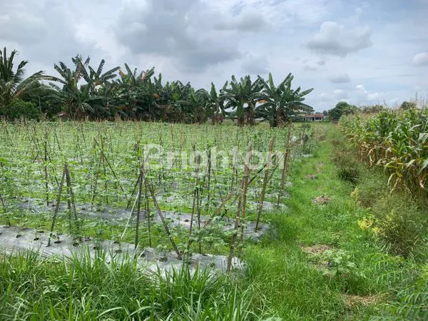 image TANAH 5376 KUALA NAMU (4)