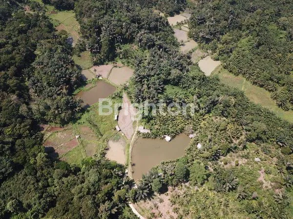 image TANAH LUAS DAERAH SEMBAHE NAMORAMBE (3)